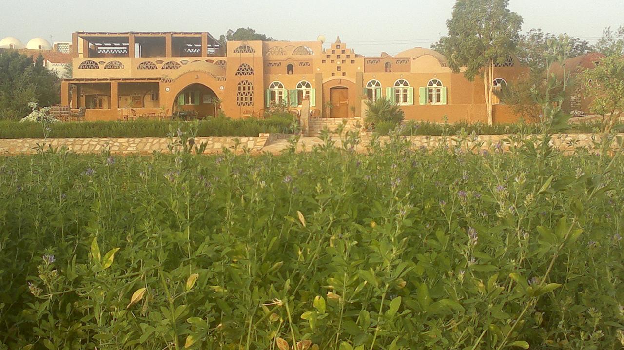 Eskaleh Eco-Lodge Abu Simbel Exterior photo